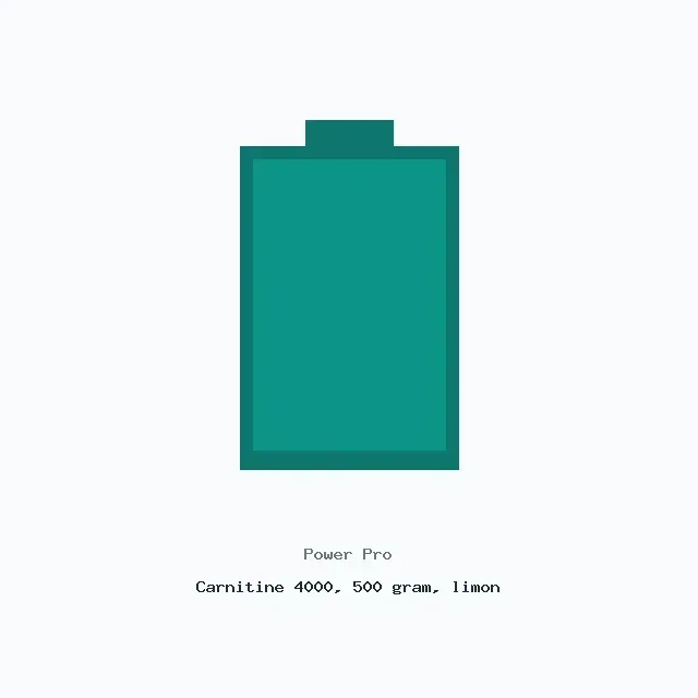 Жироспалювач Power Pro Carnitine 4000, 500 грам, Лимон