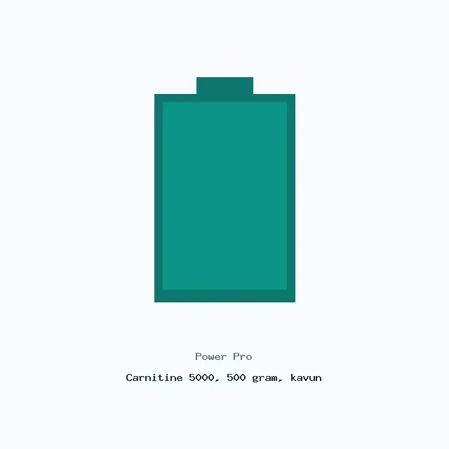 Жиросжигатель Power Pro Carnitine 5000, 500 грамм